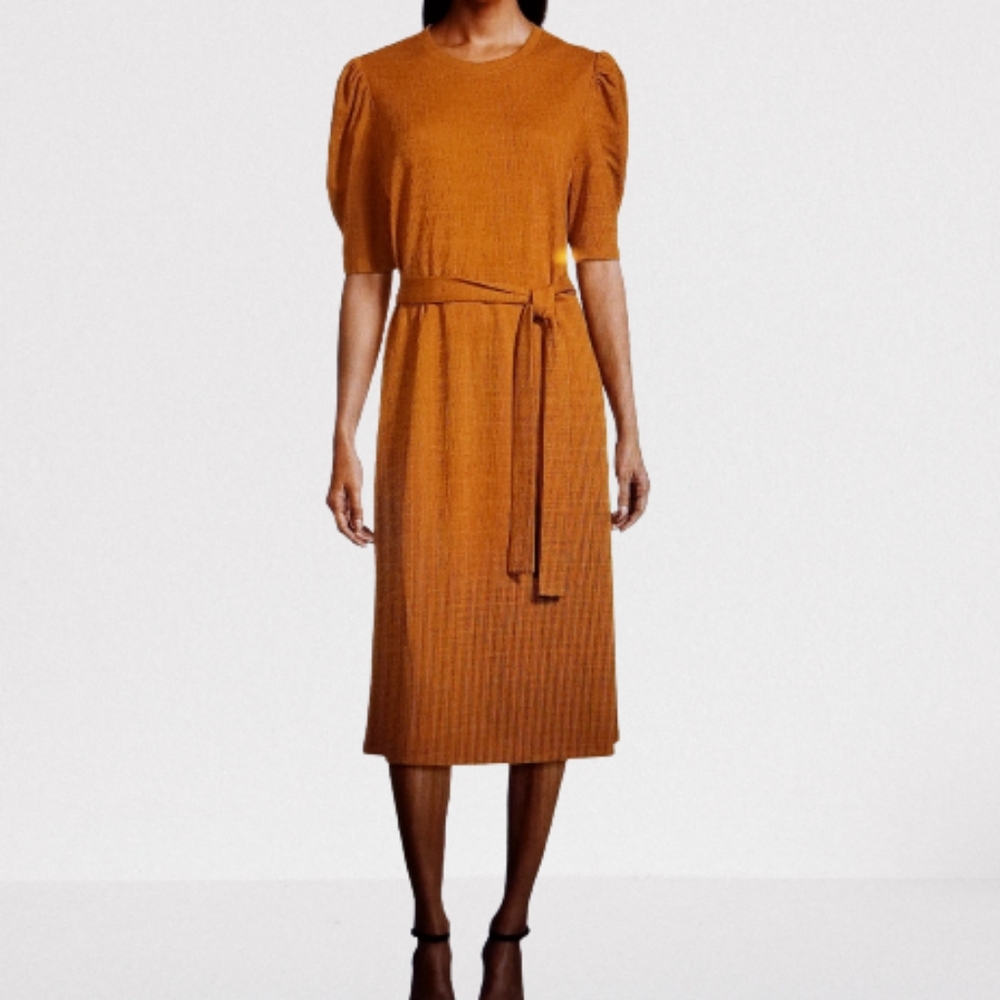 NWT Emma & Michele Burnt Orange Dress, Small